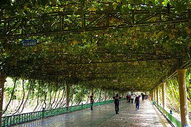 《王国之心》大师合集人气再燃 位列美国游戏榜第三位